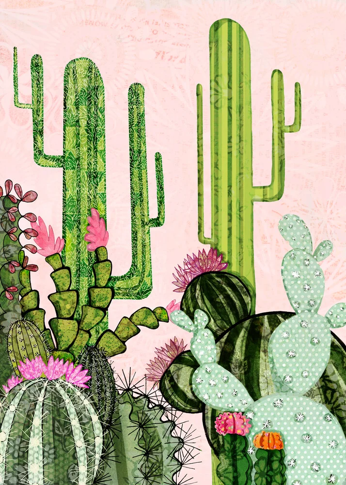 Cacti - fotokunst von Katherine Blower