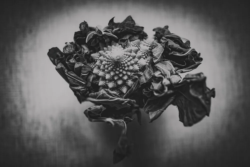 Romanesco - fotokunst von Andrea Hansen