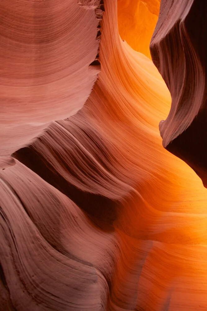 Antelope Canyon - fotokunst von Thomas Hammer