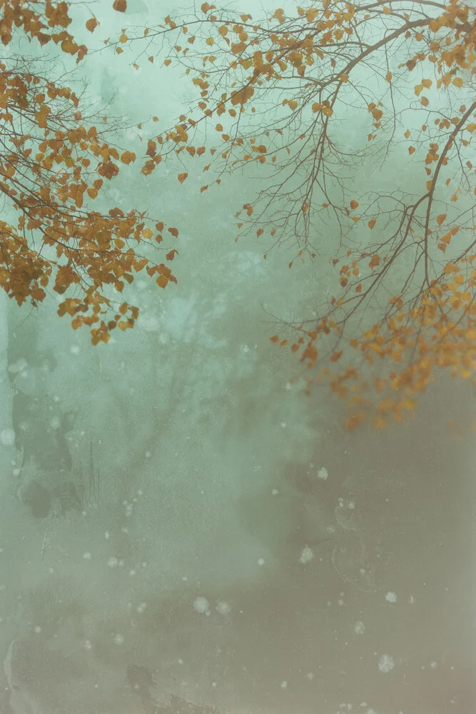 Herbst und Nebel - fotokunst von Andrea Hansen