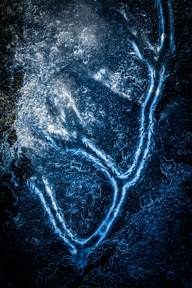 Ice-bound - fotokunst von Sebastian Worm