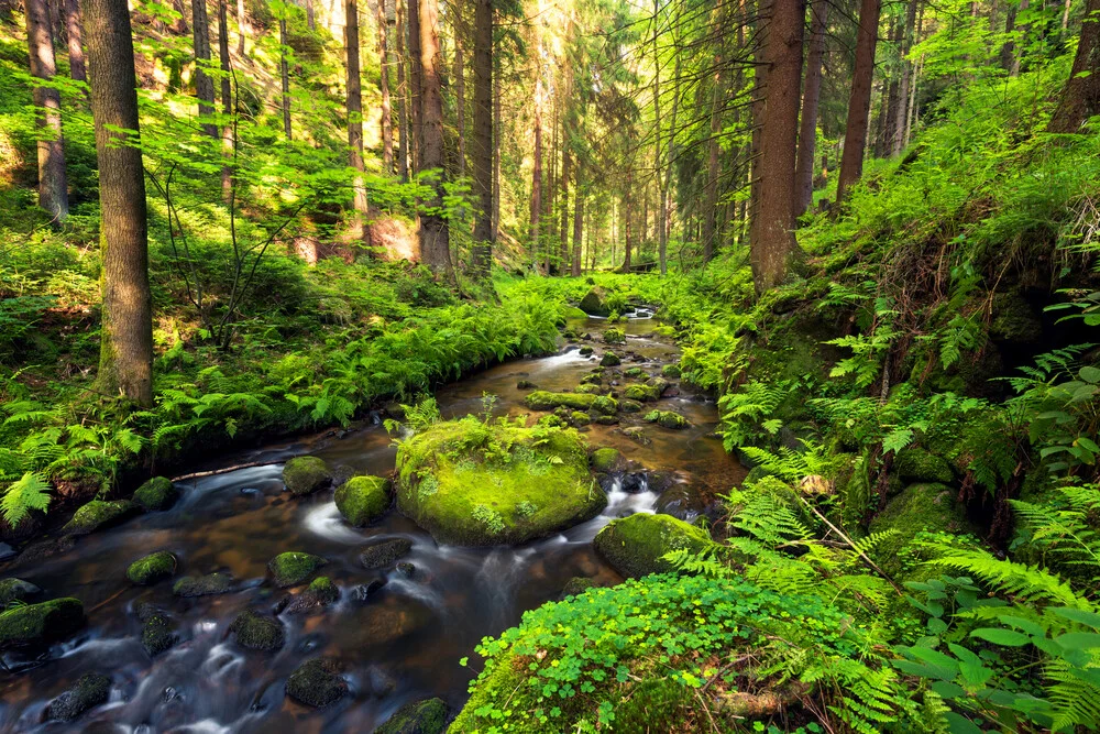 A River Runs Through It - Fineart photography by Dave Derbis