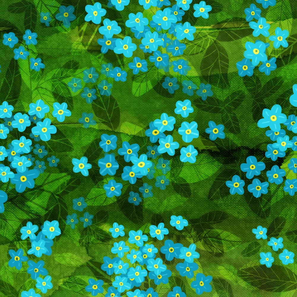 Forget-Me-Not - Fineart photography by Katherine Blower