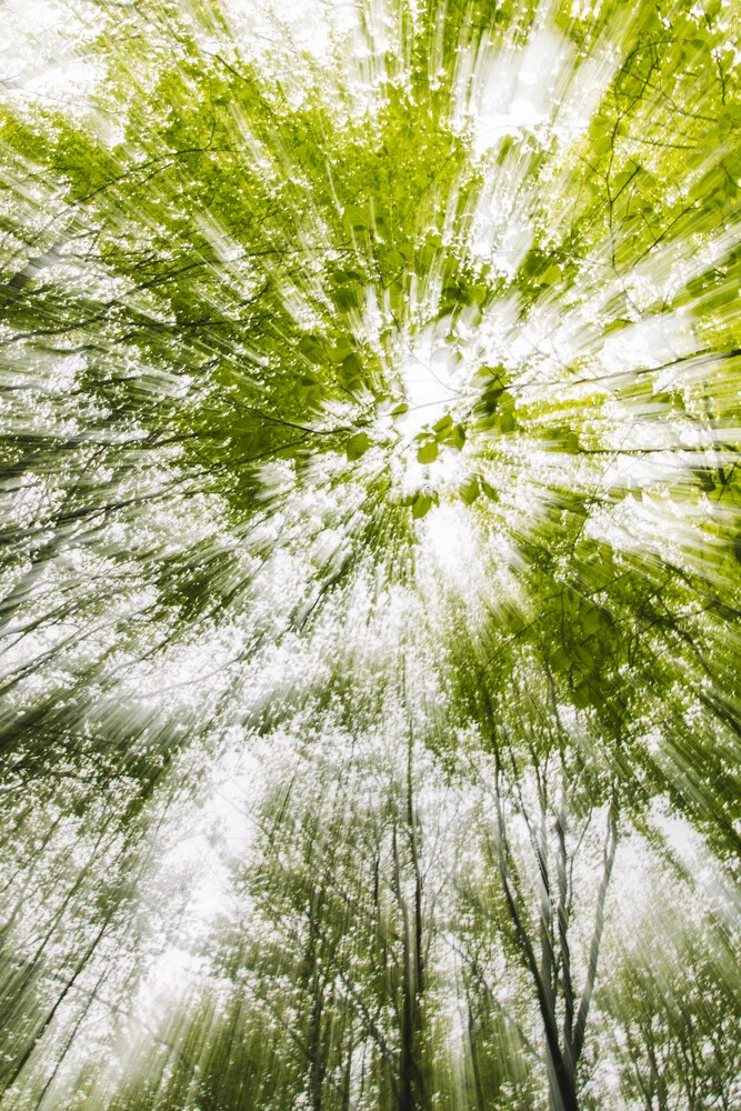 Frühling im Wald verwischt - fotokunst von Nadja Jacke