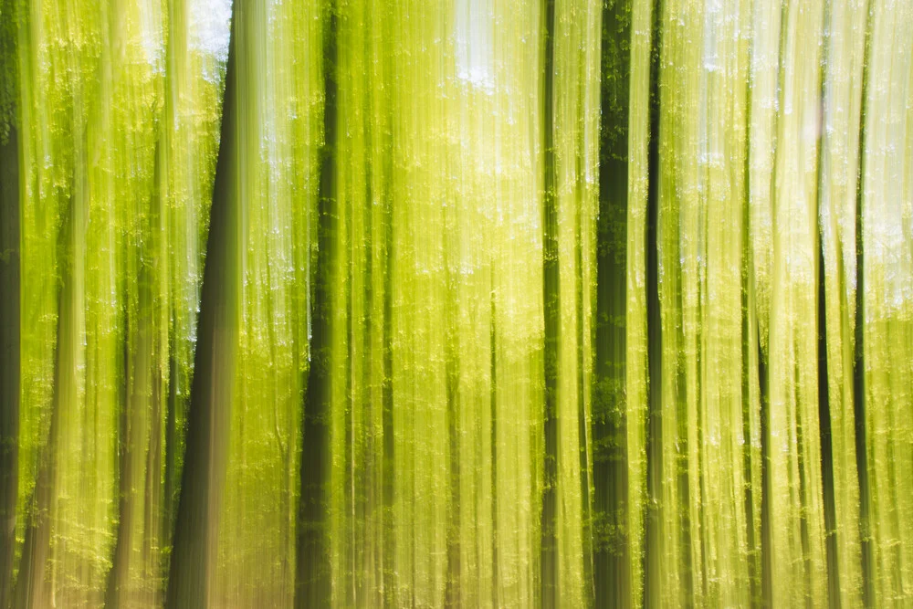 Frühling im Wald verwischt - fotokunst von Nadja Jacke