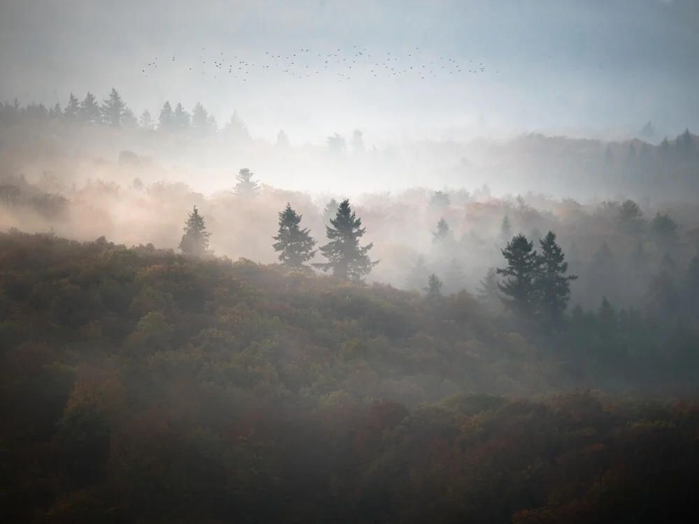 Herbst - fotokunst von Felix Wesch