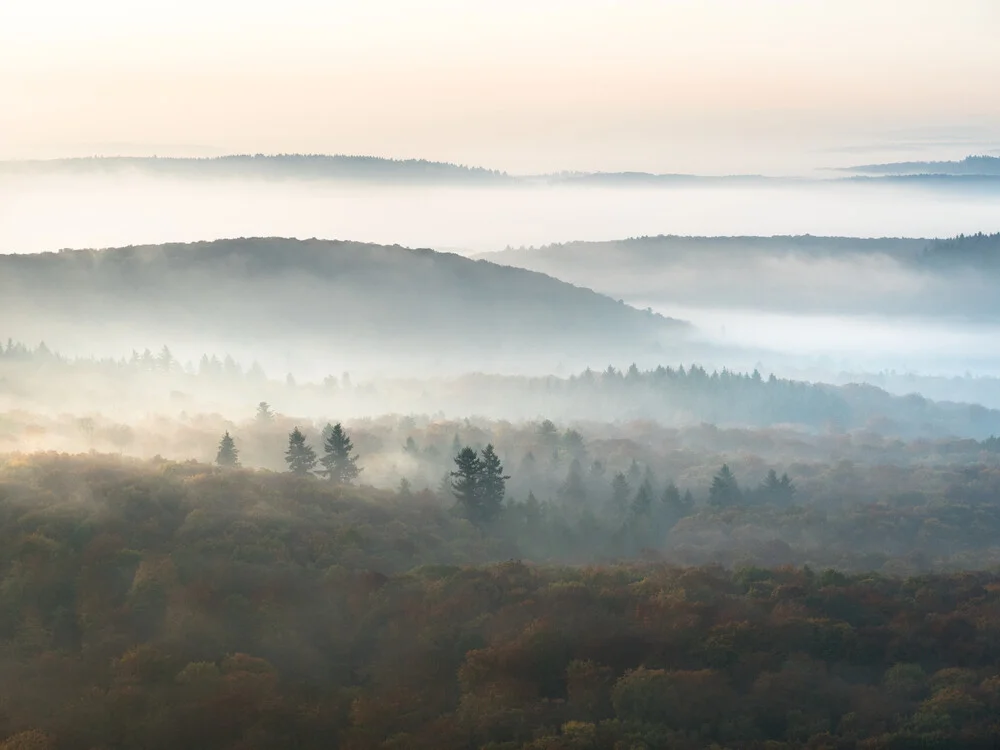 Herbstmorgen - fotokunst von Felix Wesch