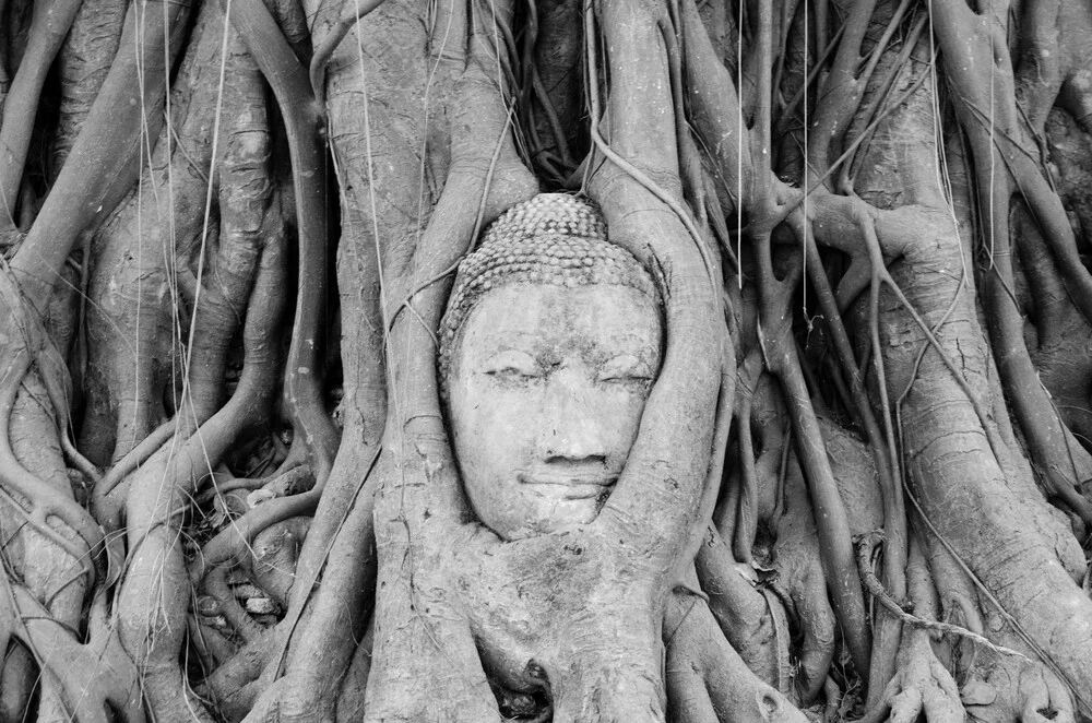 Buddha im Baum - fotokunst von Martin Koch