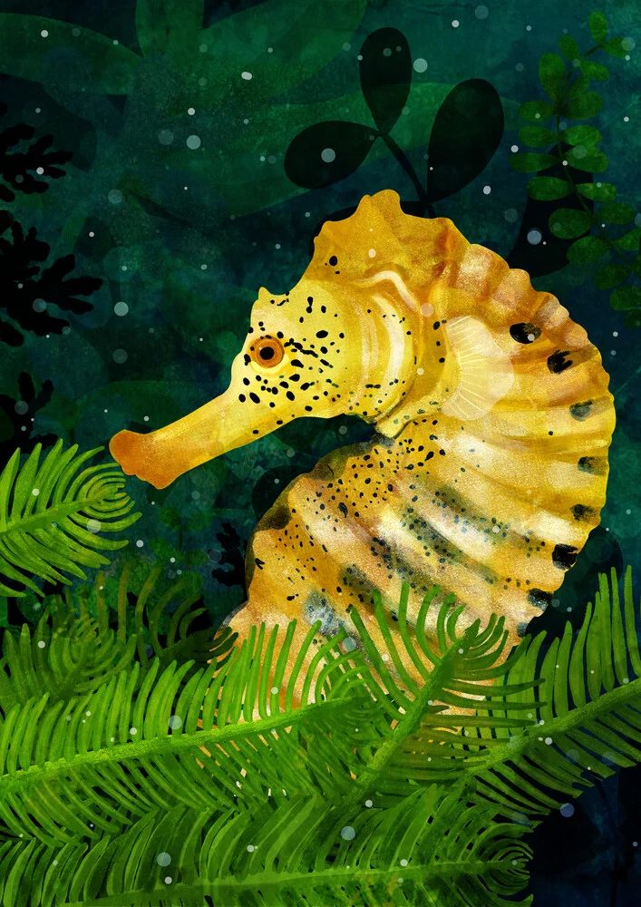 Yellow Seahorse - fotokunst von Katherine Blower