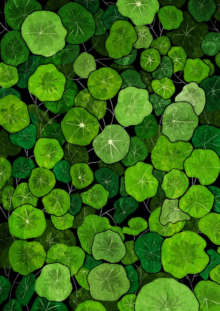Green leaves - fotokunst von Katherine Blower