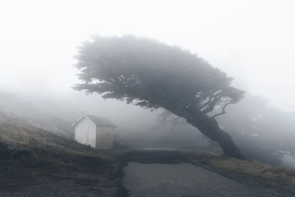 Point Reyes National Seashore - fotokunst von Jonas Hafner