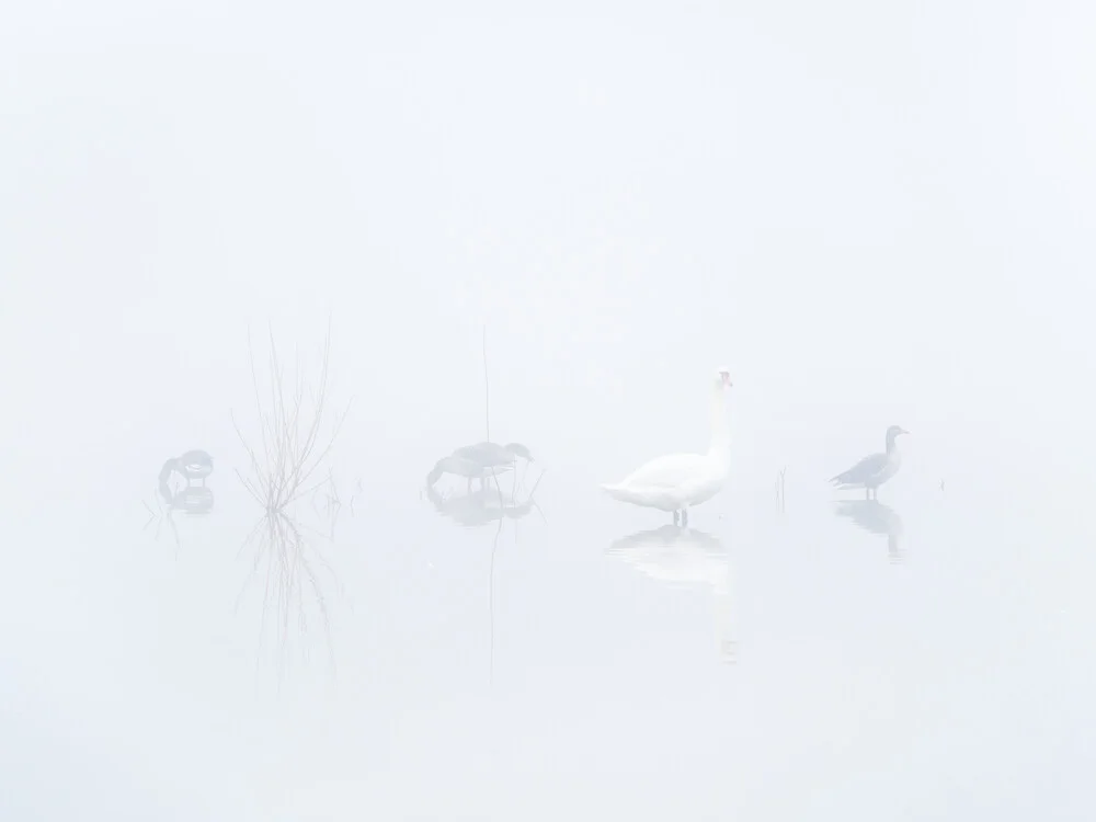 Im dichten Nebel - fotokunst von Felix Wesch