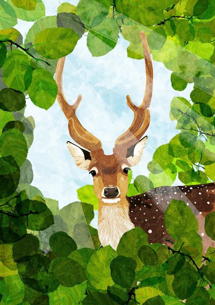 fallow Deer - fotokunst von Katherine Blower