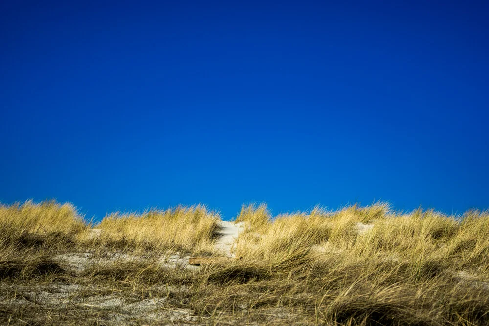 Dune at the north sea - Fineart photography by Marvin Kronsbein
