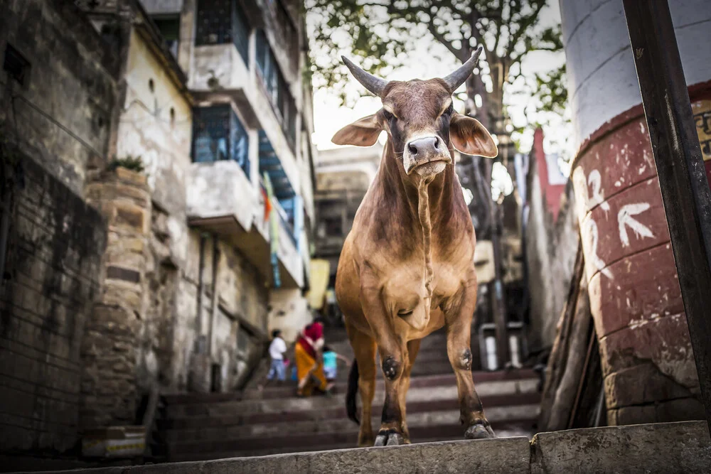 INCREDIBLE INDIA - fotokunst von Andreas Adams