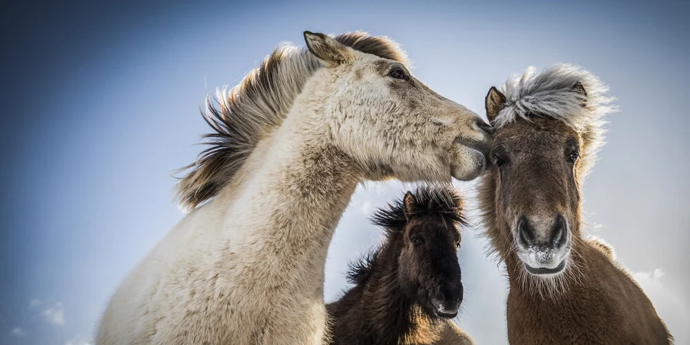 KISS - fotokunst von Andreas Adams