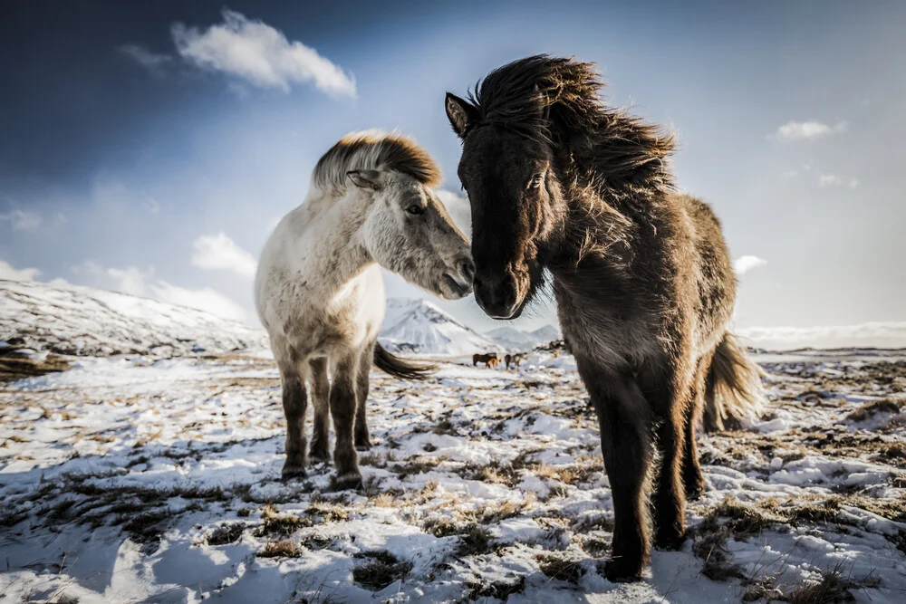 LOVE - fotokunst von Andreas Adams