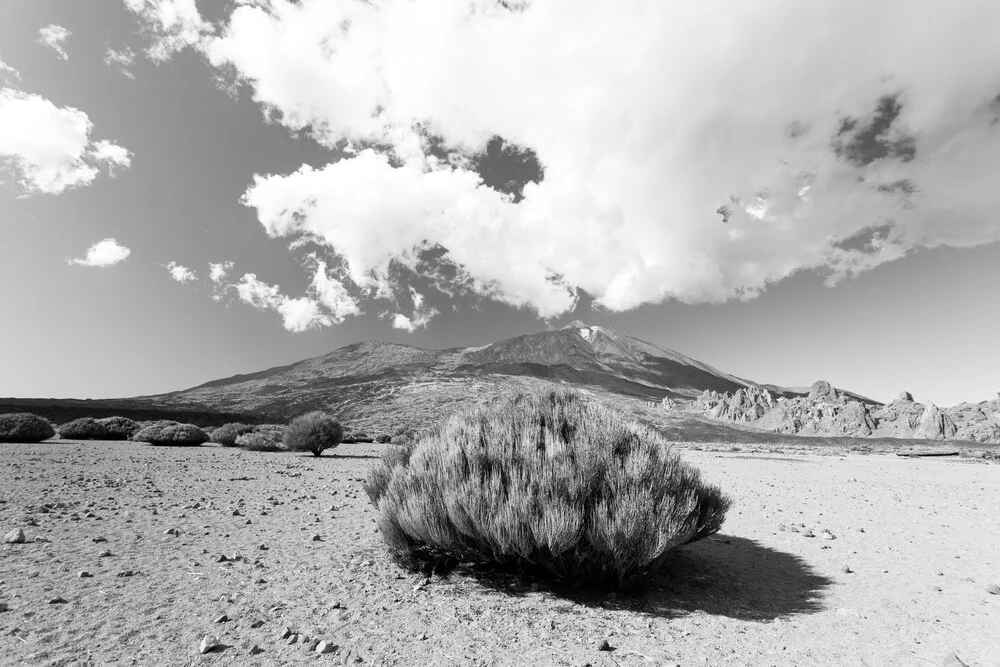 El Teide, Teneriffa - fotokunst von Angelika Stern