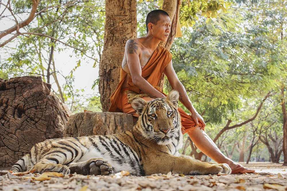 TIGER & MONK - fotokunst von Andreas Adams