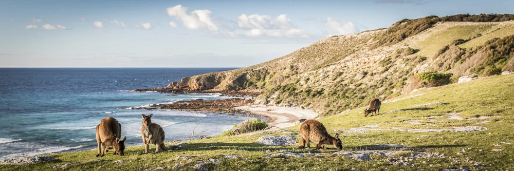 KANGAROO ISLAND - fotokunst von Andreas Adams