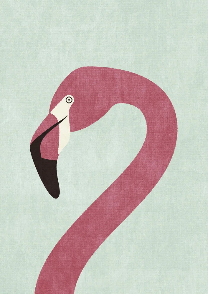 FAUNA Flamingo - fotokunst von Daniel Coulmann