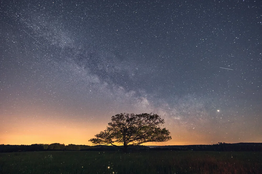 Savannah in the harzmountains with a milky way - Fineart photography by Oliver Henze