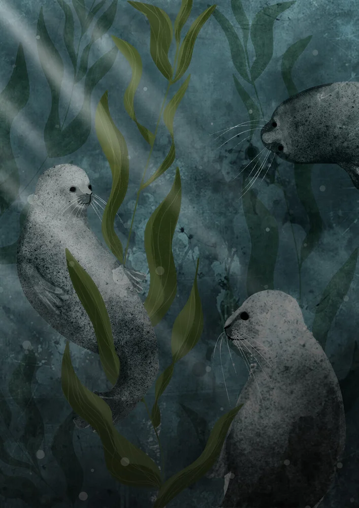 Seals - fotokunst von Katherine Blower