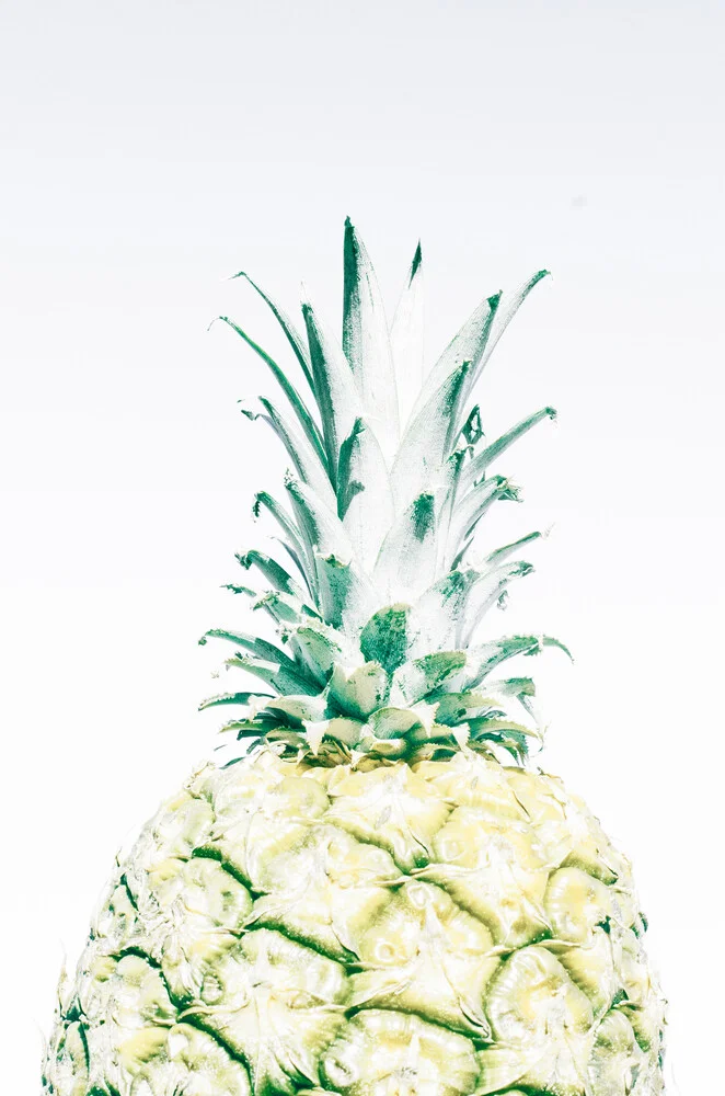 Pineapple - fotokunst von Victoria Frost