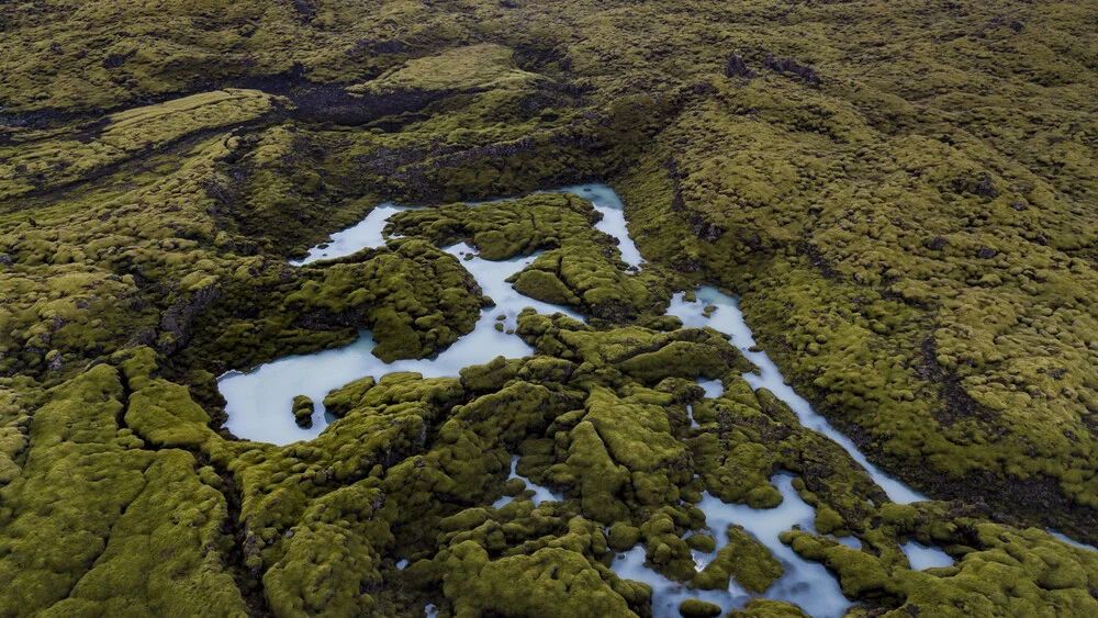 Marshland - Fineart photography by Marvin Kronsbein