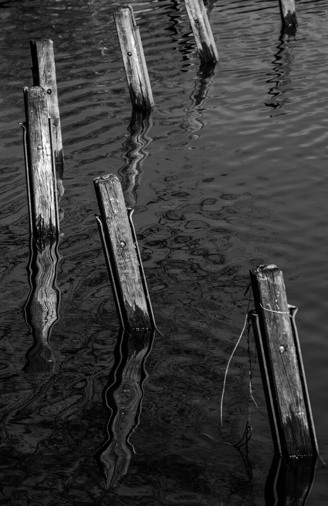 holz im wasser - fotokunst von Michael Schaidler