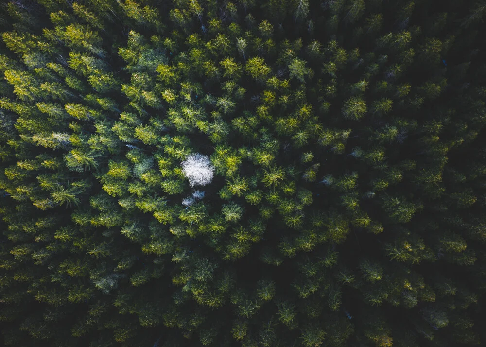 Alleine unter Vielen. - fotokunst von Christian Becker