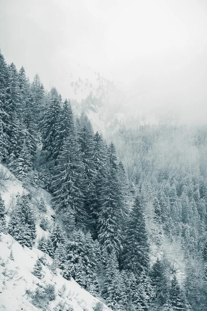 Nebel früh morgens - fotokunst von Christian Becker