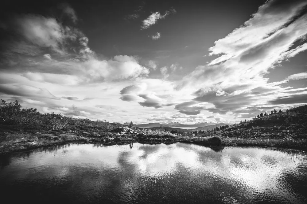 Herbst in Schwarzweiß - fotokunst von Sebastian Worm