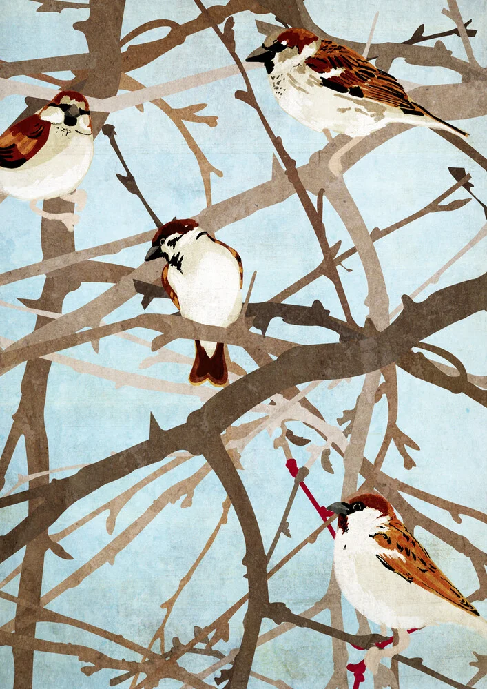 Sparrows - fotokunst von Katherine Blower