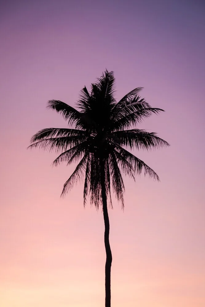 Einsame Palme - fotokunst von Christian Hartmann