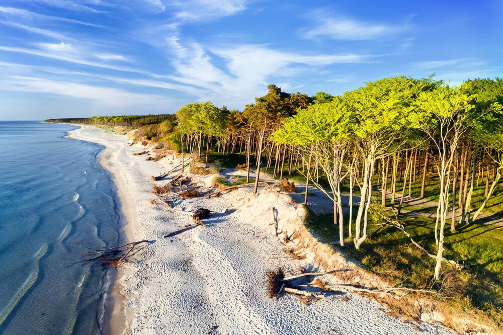 Der goldene Strand - fotokunst von Dave Derbis