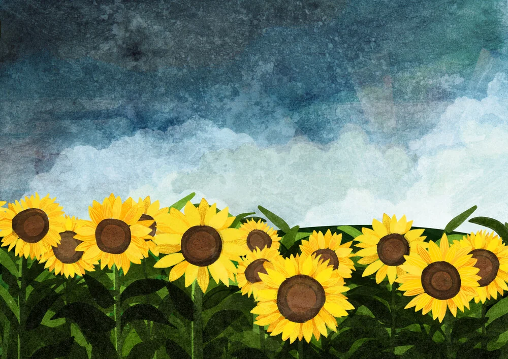 Sunflowers - fotokunst von Katherine Blower