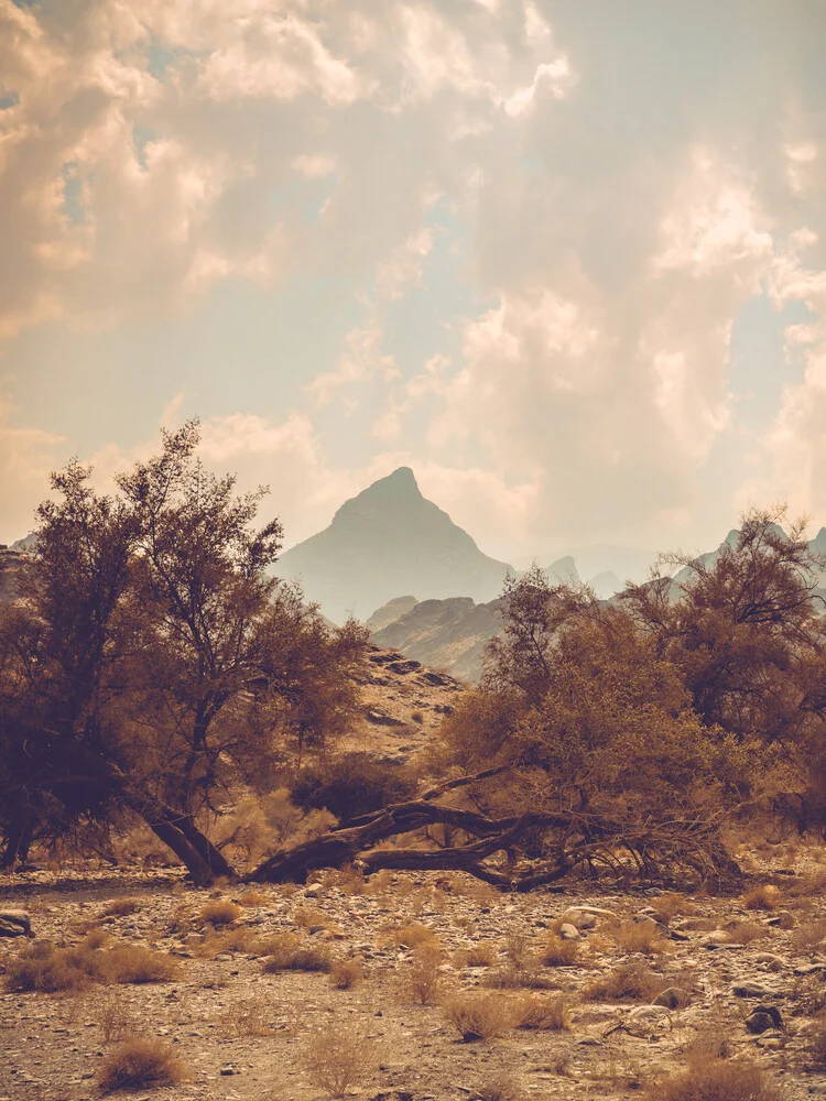 Berggipfel in karger Landschaft - fotokunst von Franz Sussbauer