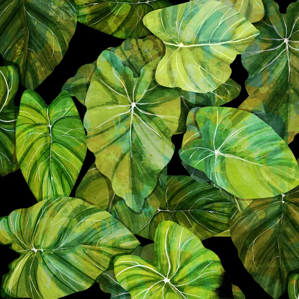 leafed - fotokunst von Katherine Blower