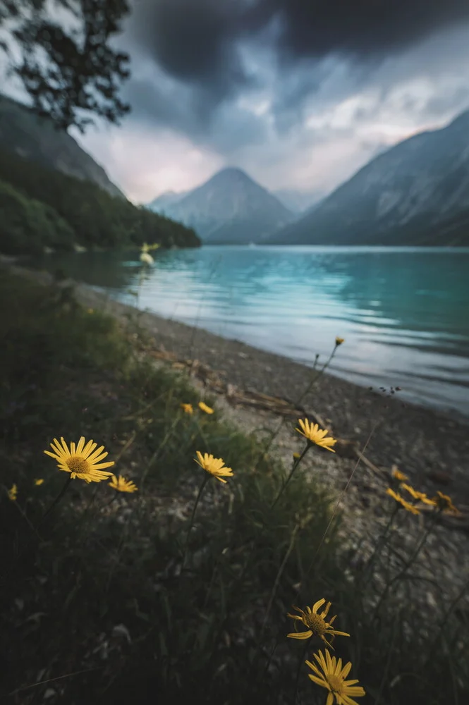 Flowers are calling - Fineart photography by Lukas Litt