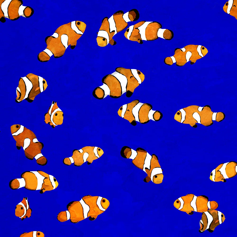 Clownfish - fotokunst von Katherine Blower