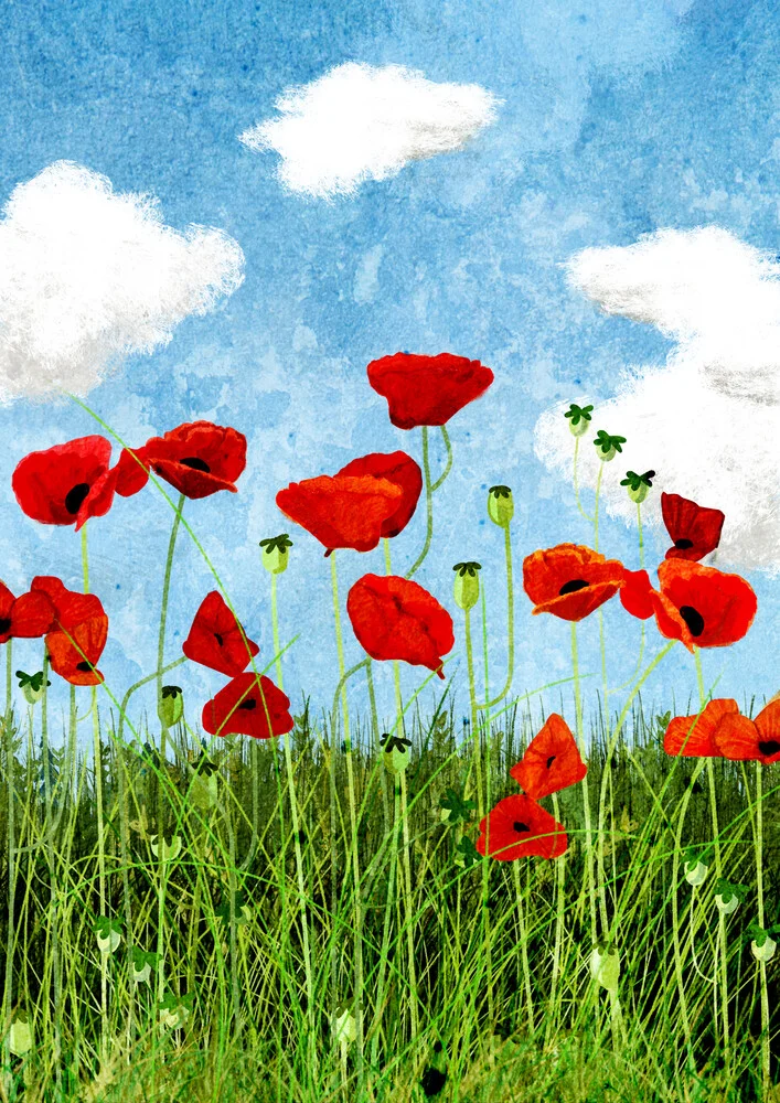 poppy field - fotokunst von Katherine Blower