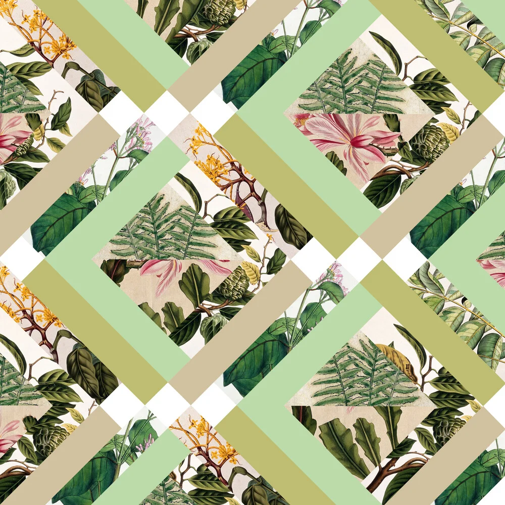 Cubed Vintage Botanicals - fotokunst von Bianca Green