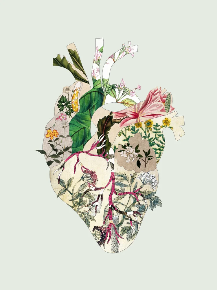 Vintage Botanical Heart - fotokunst von Bianca Green