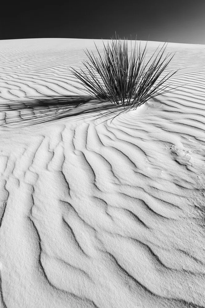 WHITE SANDS Wüstenimpression - fotokunst von Melanie Viola