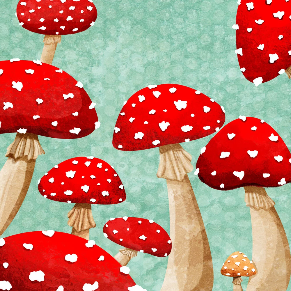 Mushrooms - fotokunst von Katherine Blower