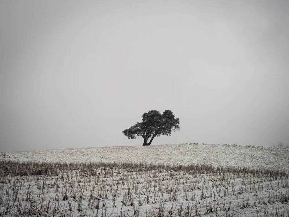 einsamer Baum im Winter - fotokunst von Bernd Grosseck