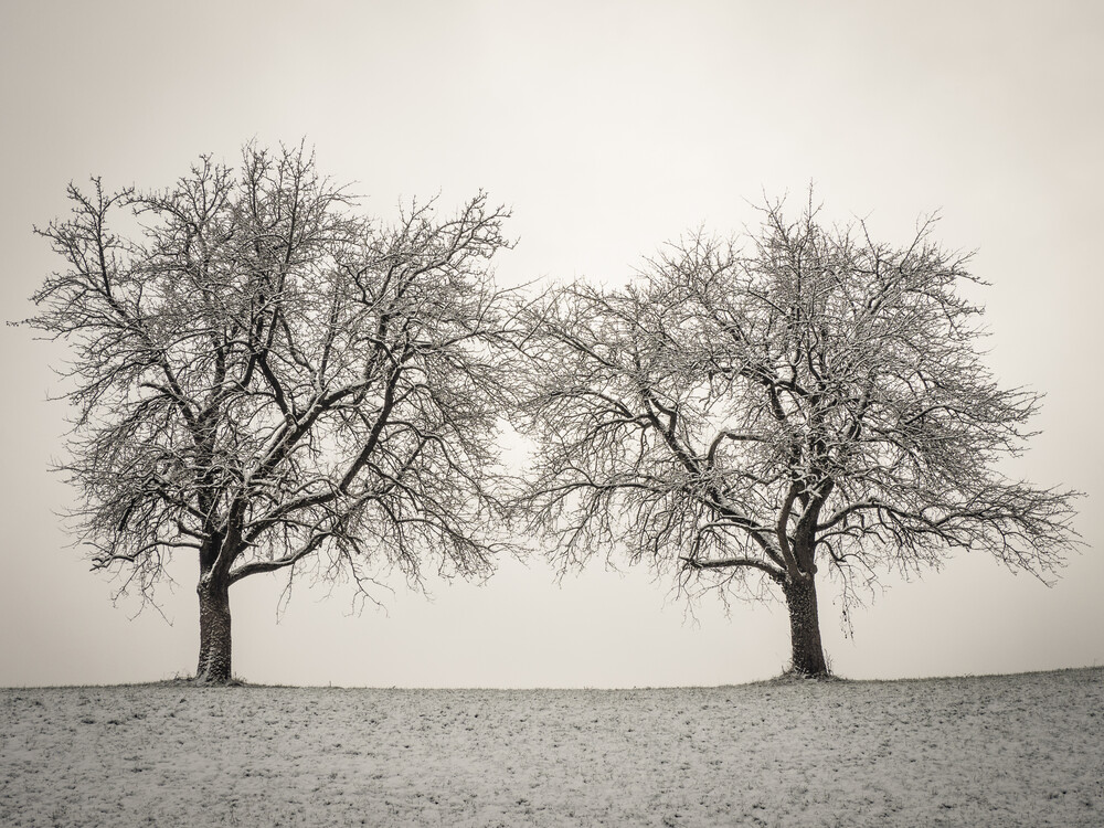 two wintertrees - Fineart photography by Bernd Grosseck