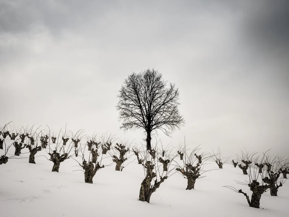 Winterstimmung - fotokunst von Bernd Grosseck