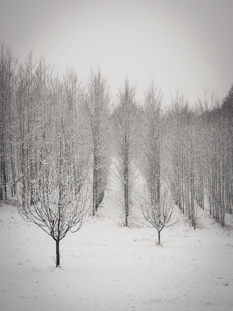 winter atmosphere II - Fineart photography by Bernd Grosseck
